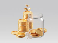 Instant Loan No Credit Check Singapore & Wealth Links Investments