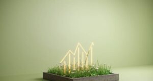 Instant Loan No Credit Check Singapore & Digital Banking Banking