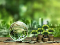 Credit Cards vs. Instant Loans Without Credit Check in Singapore Credit Cards