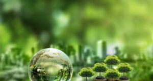 Credit Cards vs. Instant Loans Without Credit Check in Singapore Credit Cards